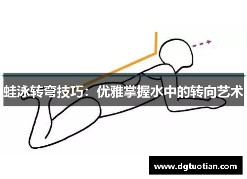 蛙泳转弯技巧：优雅掌握水中的转向艺术
